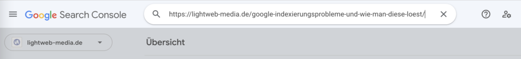 Google Indexierungsprobleme und wie man diese löst Seite bei der GSC anmelden zum erneuten Crawlen Indexierung Google