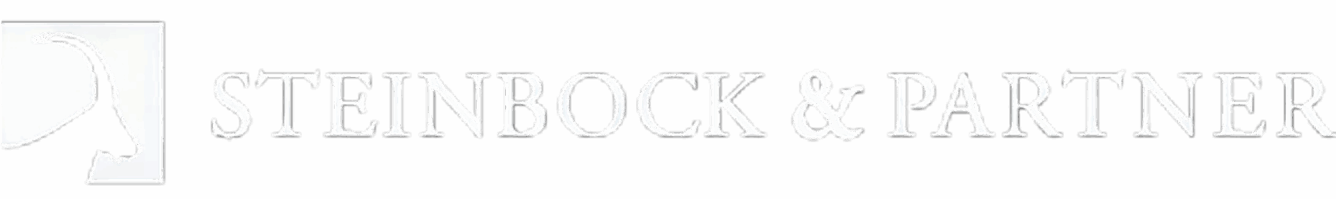 logo steinbock partner - lightweb media gmbh